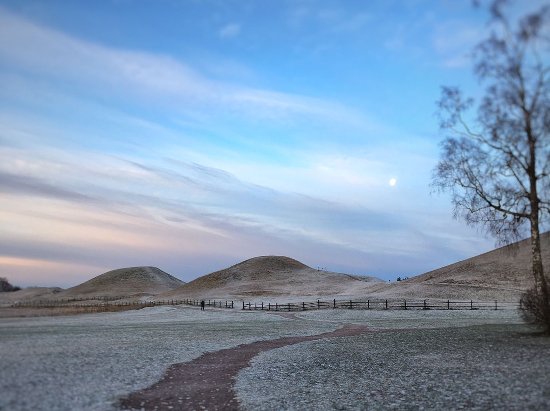 Old Uppsala Museum景点图片