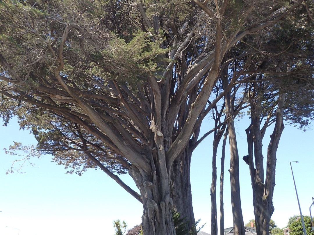 Otakaro Park景点图片