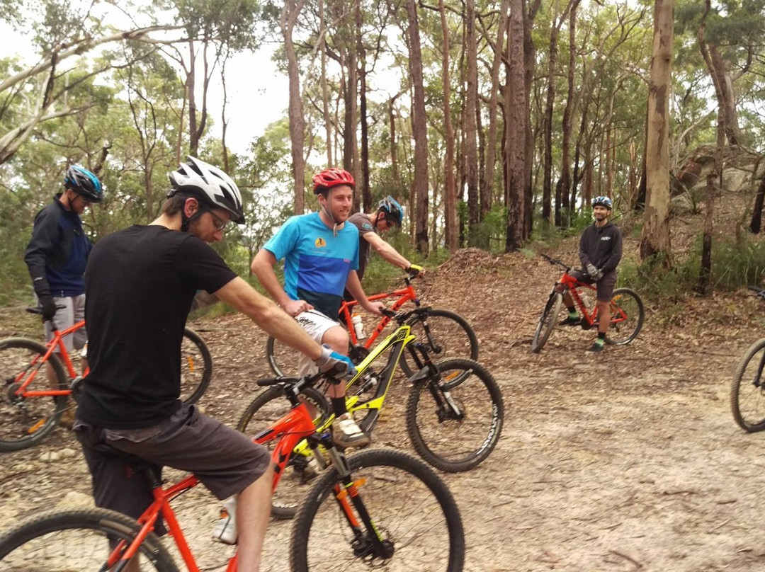 Central Coast Mountain Bike Tours景点图片