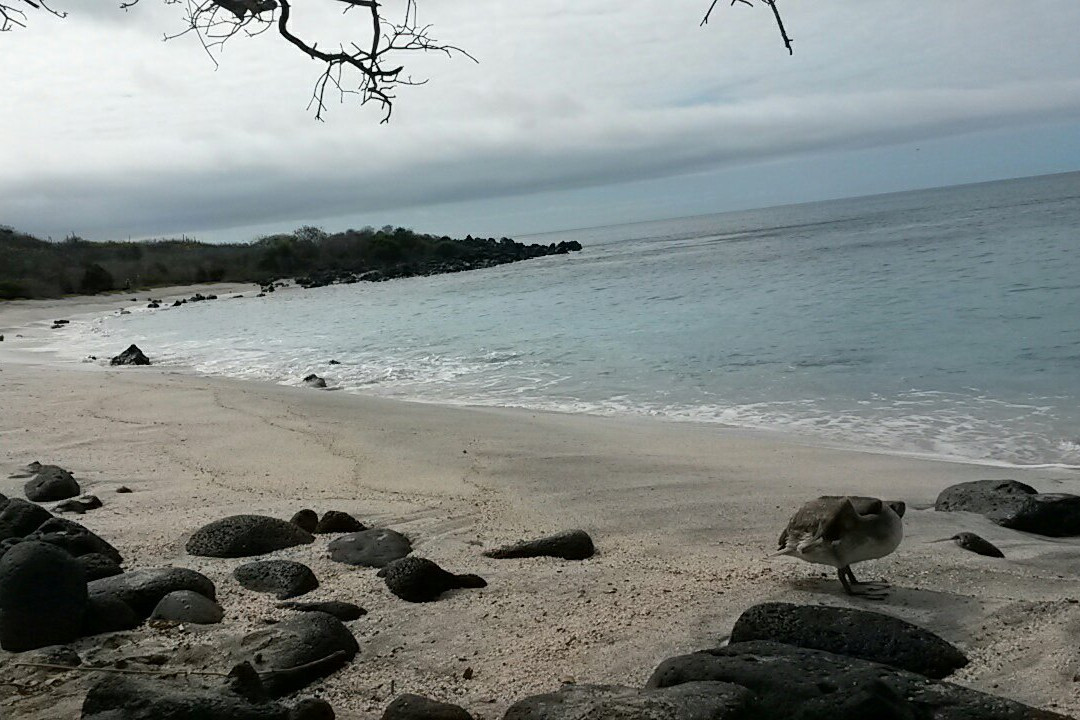Playa Baquerizo景点图片