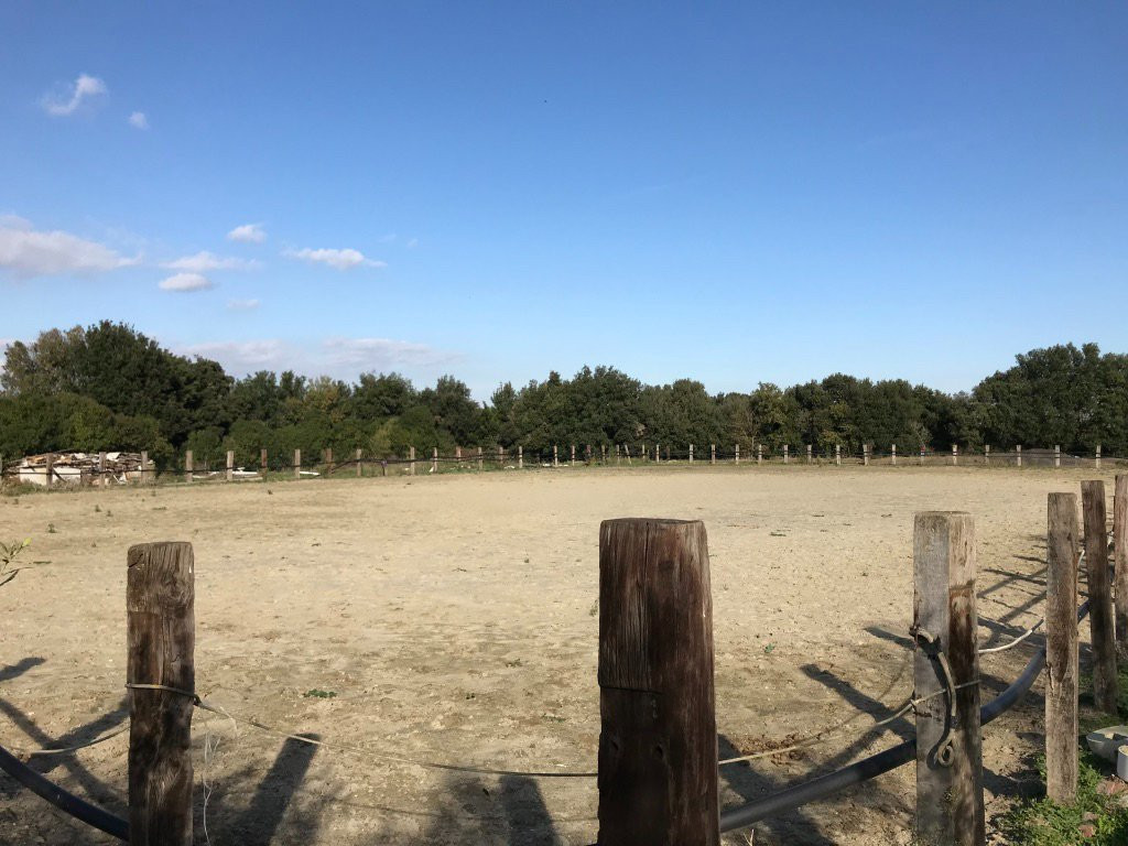 Asd Wild Ranch-罗马必去景点