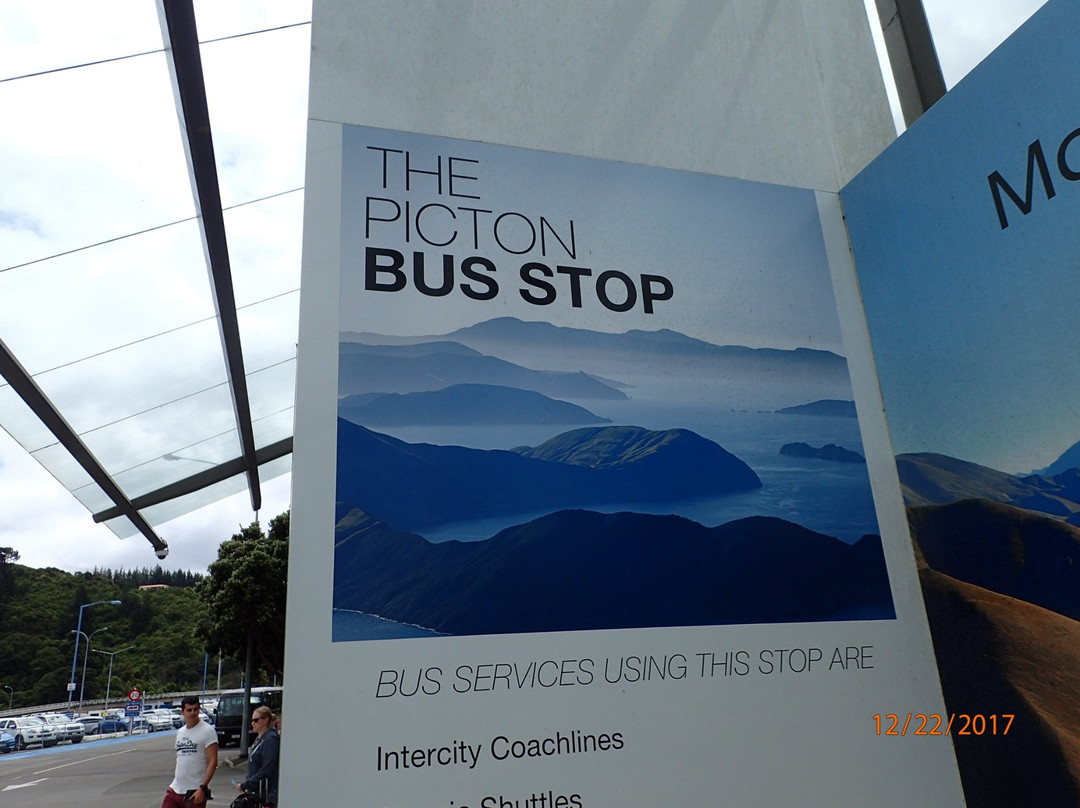 Waitohi Picton isite Visitor Information Centre景点图片