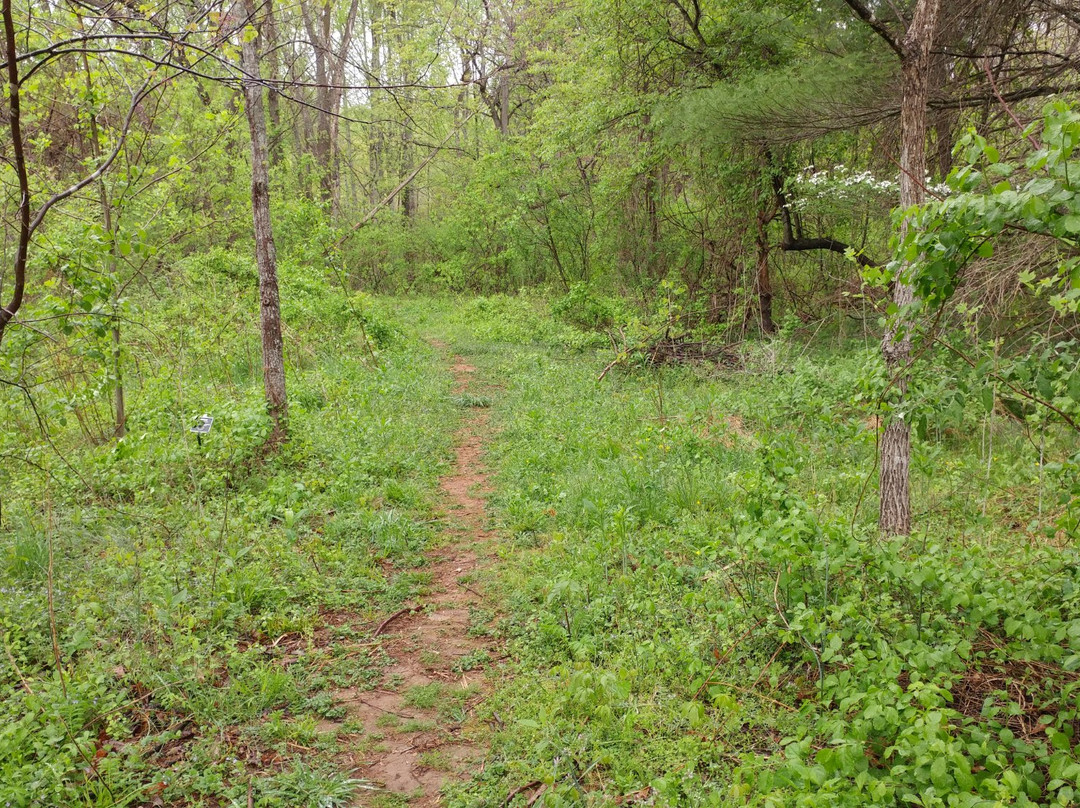 Ivy Creek Natural Area-夏洛茨维尔必去景点