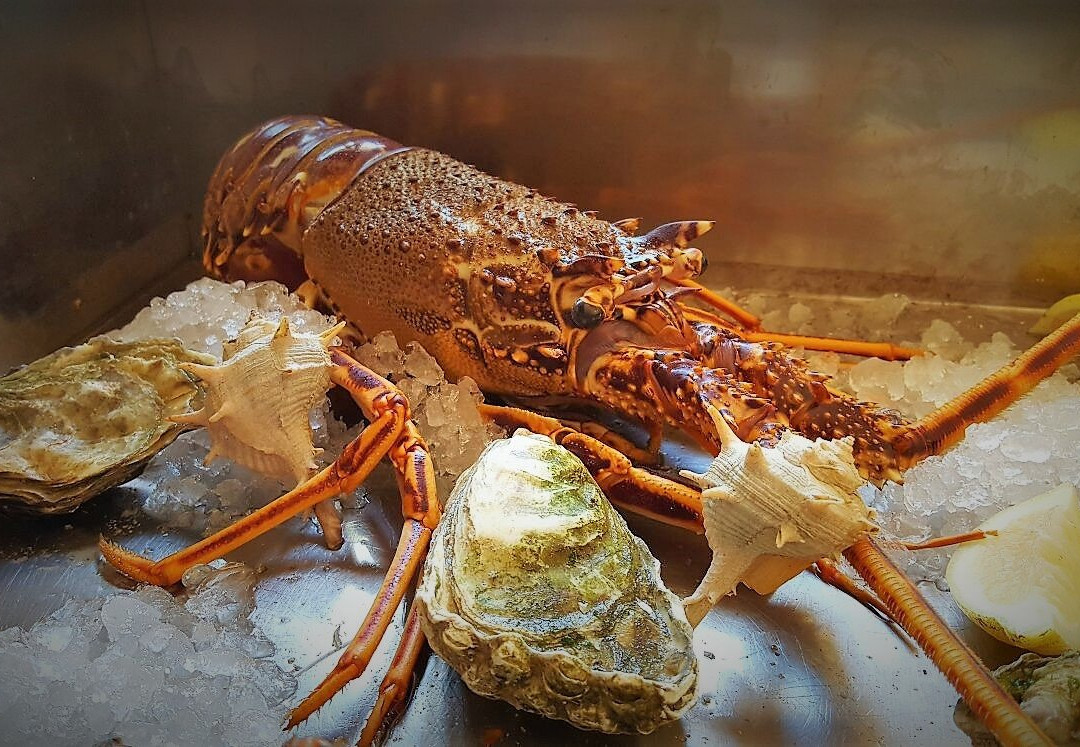 Exotic Restaurant