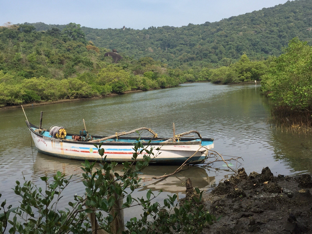 Palolem Island Reserve景点图片