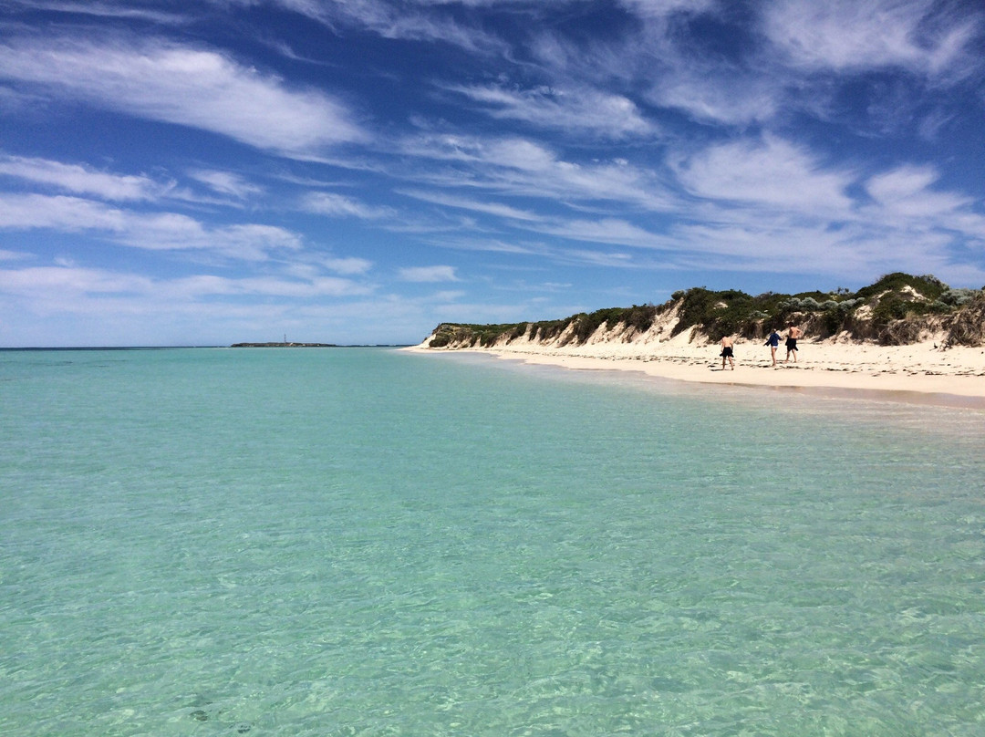 Sea Lion Charters-朱里恩湾必去景点