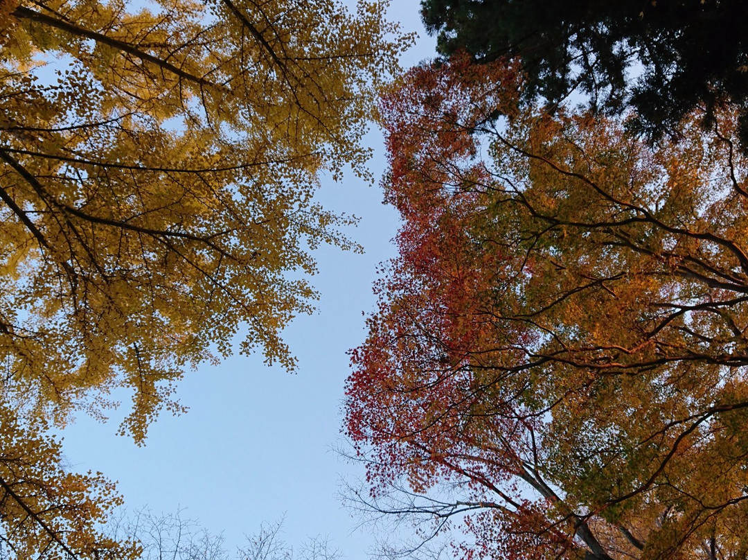 Tsuriyama Park-一关市必去景点