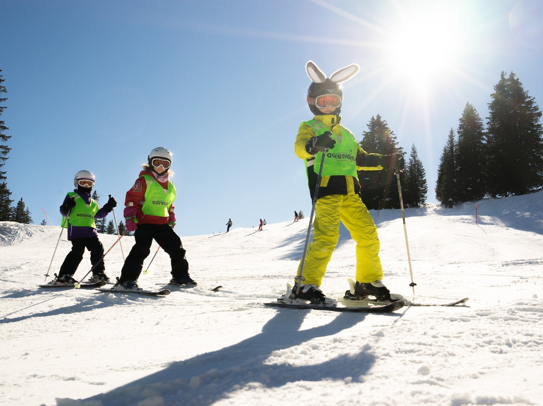 Adrenalin Skischule Lenk景点图片