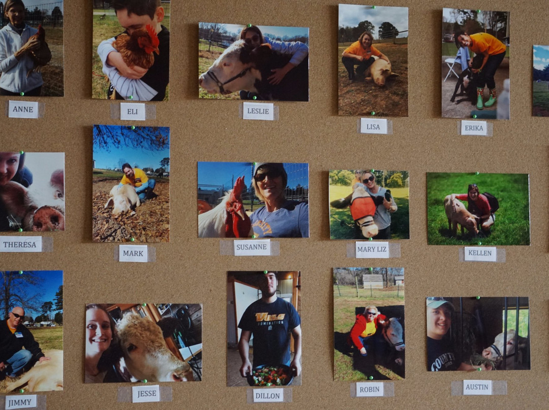 Gentle Barn-诺克斯维尔必去景点