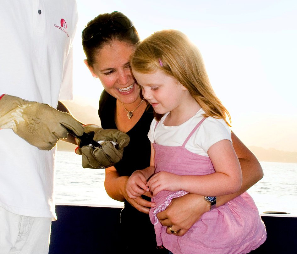 Knysna Charters-克尼斯纳必去景点