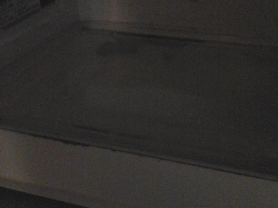 Gaston酒店住宿-森林树丛旅馆