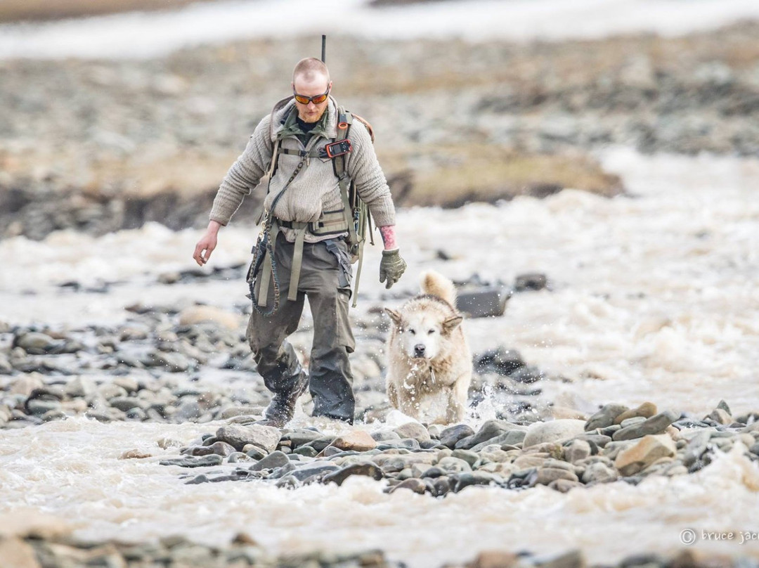 Polardogs Svalbard-朗伊尔城必去景点