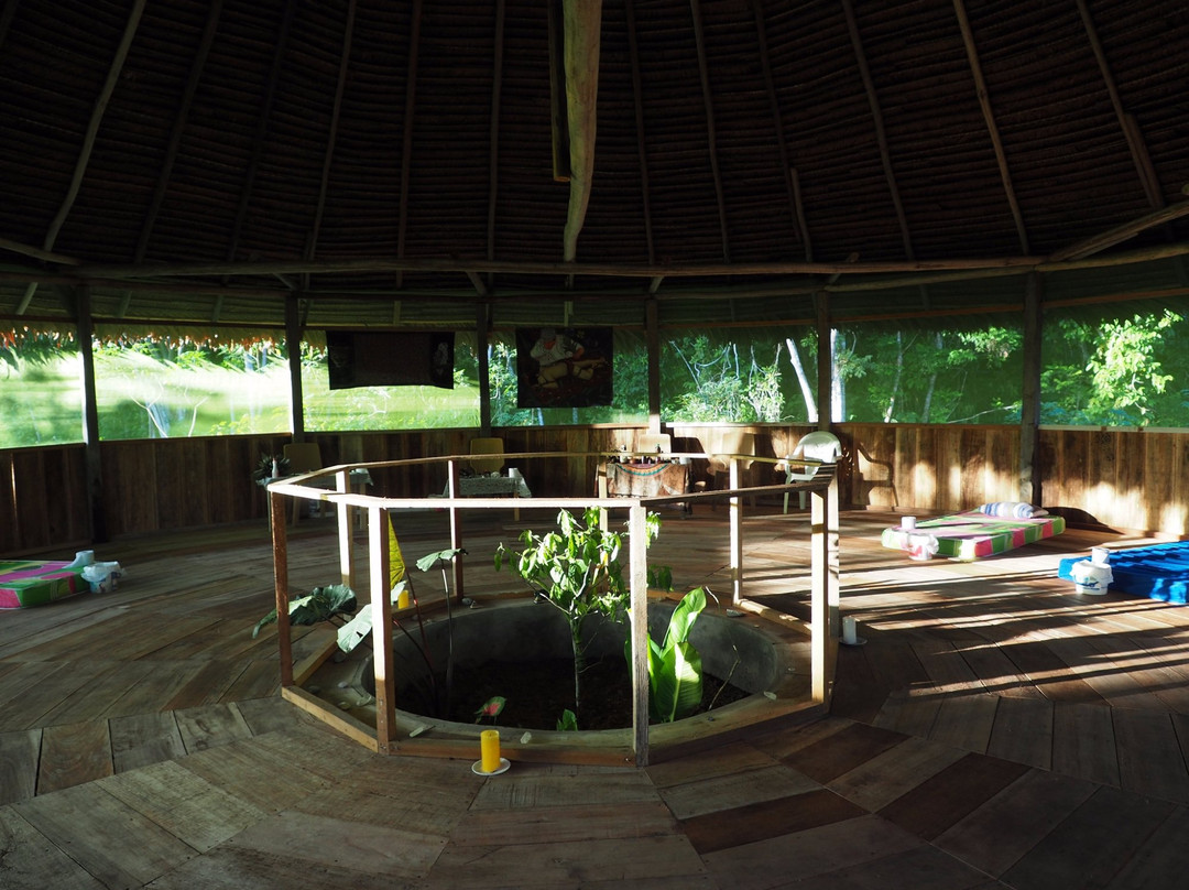 Selva Madre Healing Center景点图片