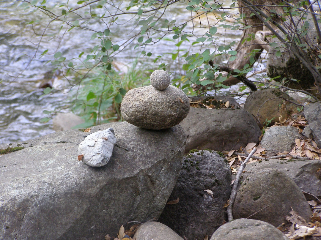Dunsmuir Botanical Gardens景点图片