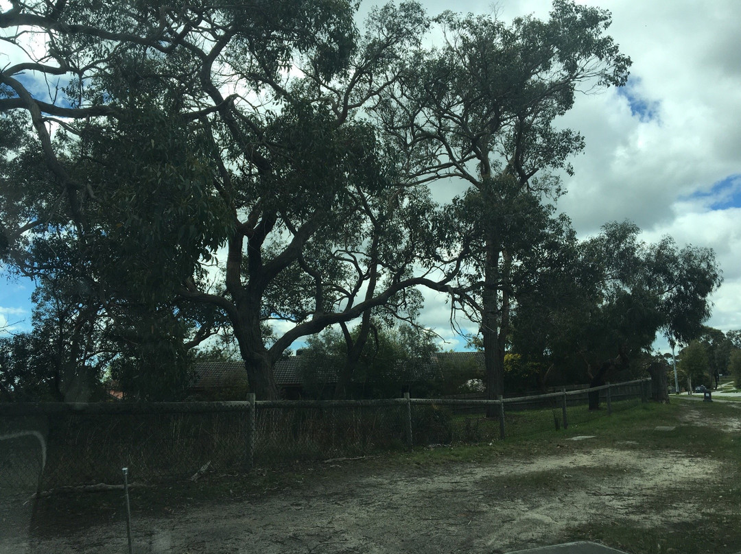 Monique Bushland Reserve景点图片