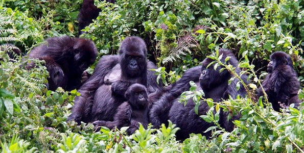 souvenier safaris-吉佳利必去景点