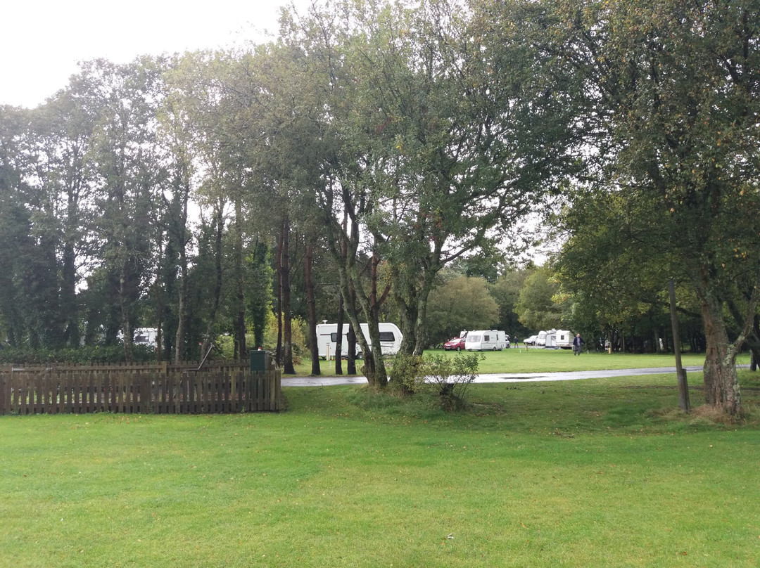Pembrey Country Park Caravan and Motorhome Club Campsite