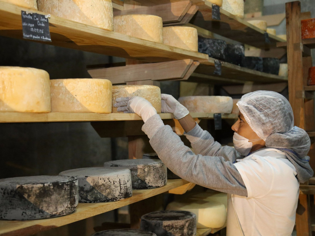 Queseria Neole-Tequisquiapan必去景点