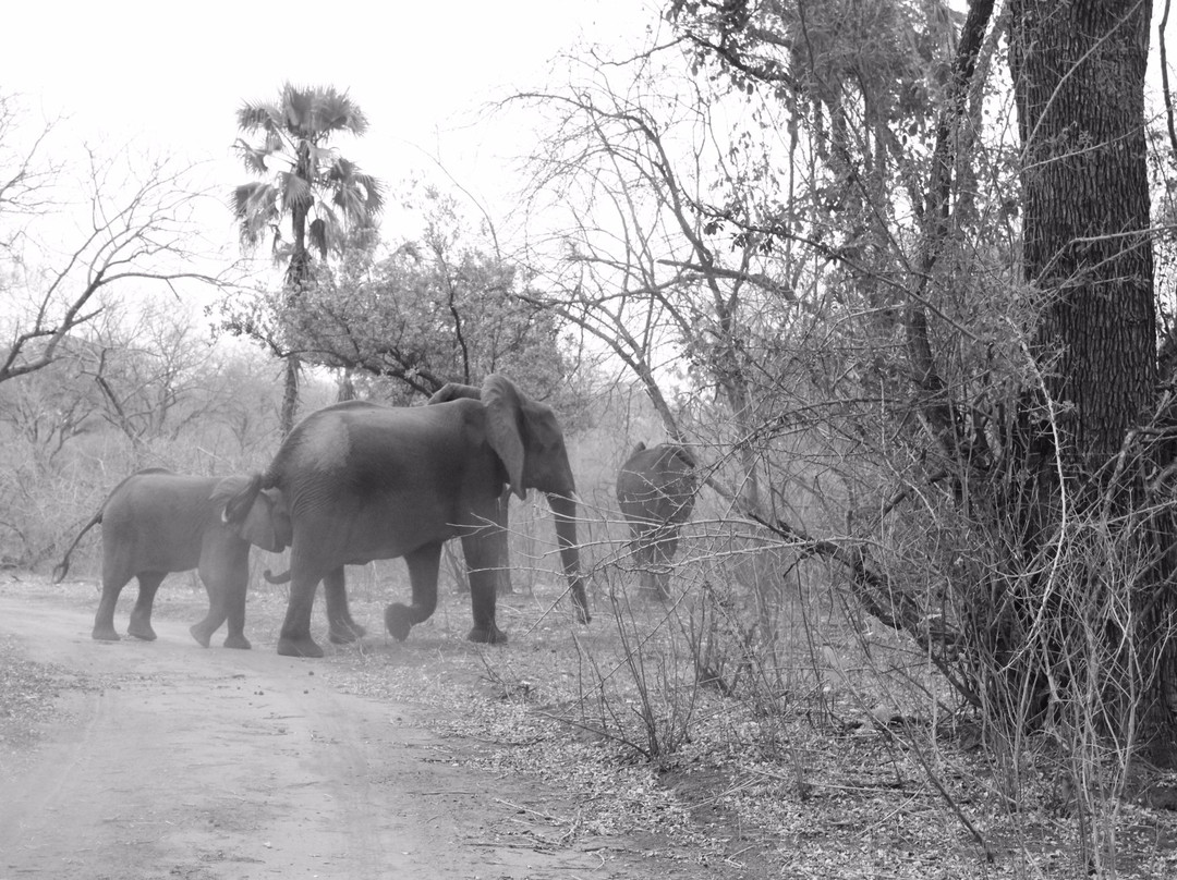 Nyasa Adventures-布兰岱必去景点