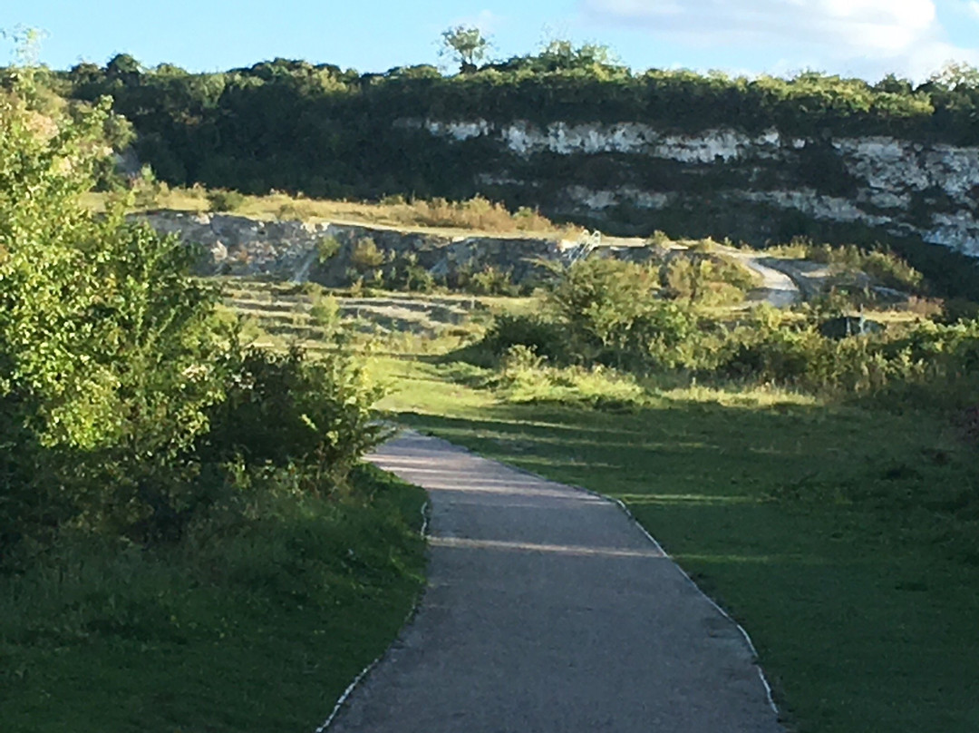 Cherry Hinton Chalk Pits景点图片