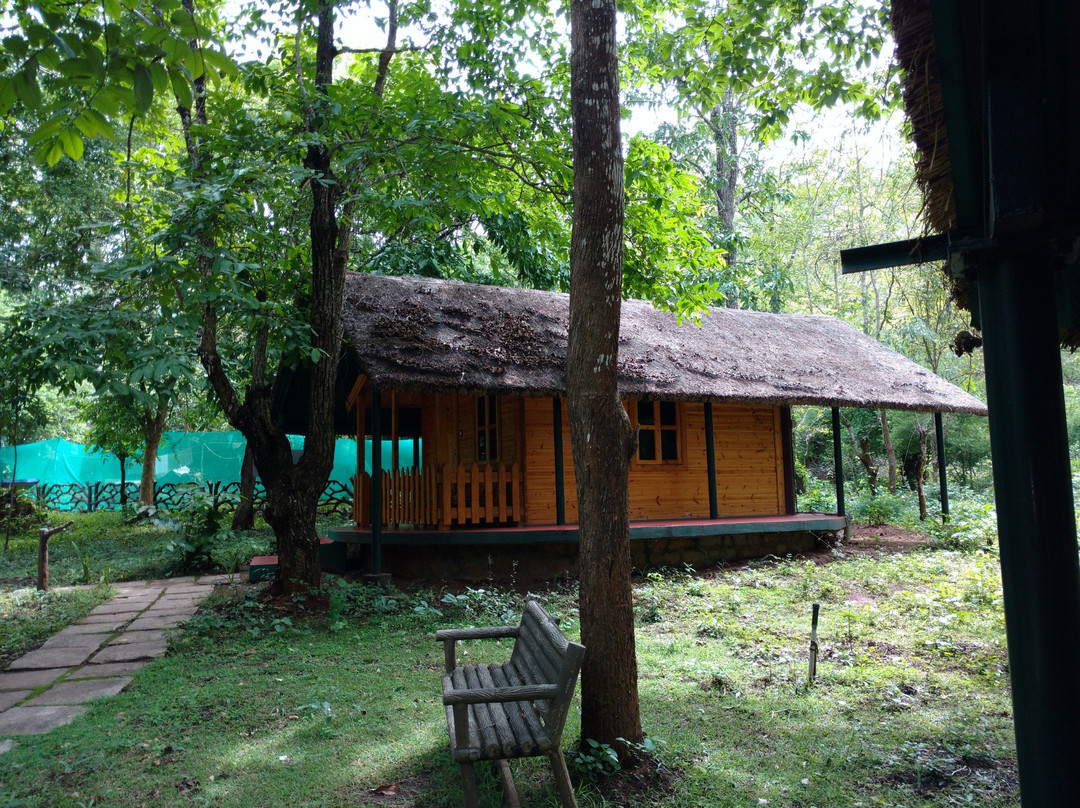 Jungle Lodges and Resorts- Sakrebyle Elephant Camp