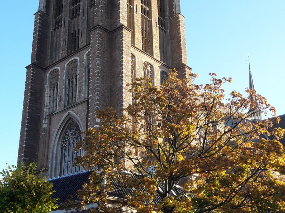 Stadswandelingen Gilde Dordrecht-多德雷赫特必去景点