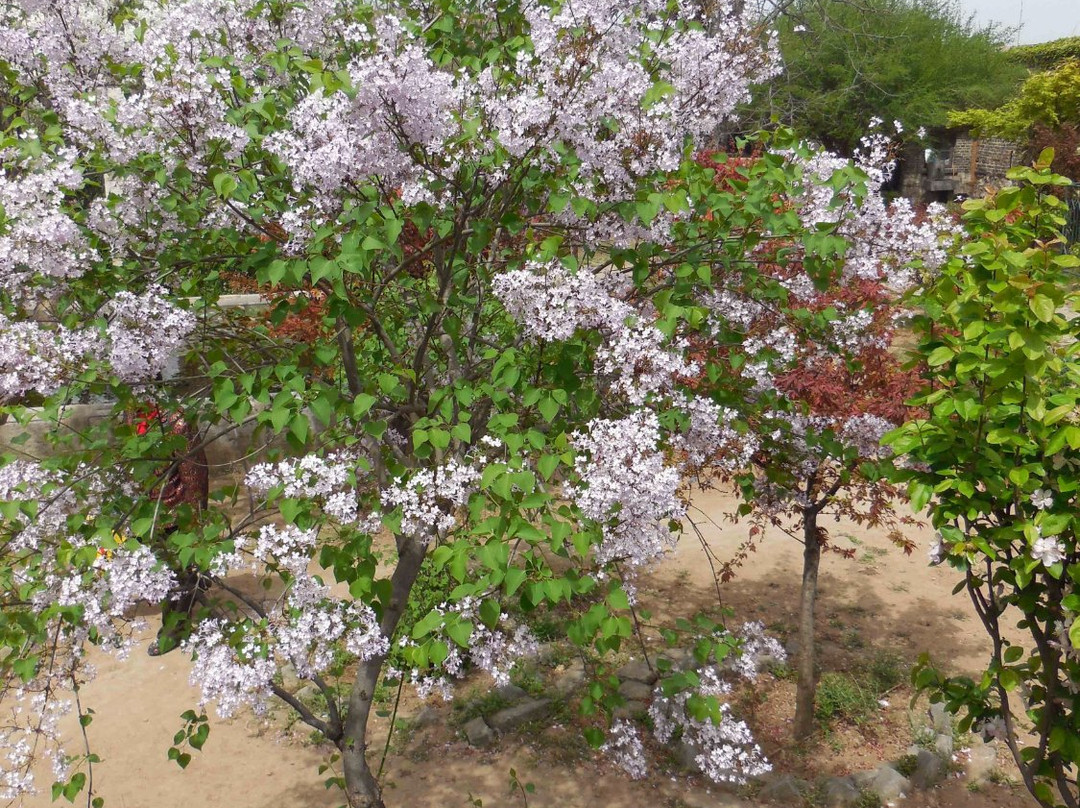 孔府铁山园-曲阜市必去景点