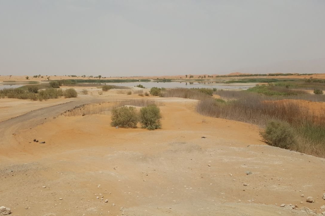 Lake Zakher-艾因市必去景点