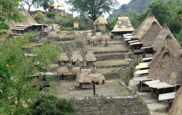 Flores Expert-Labuan Bajo必去景点