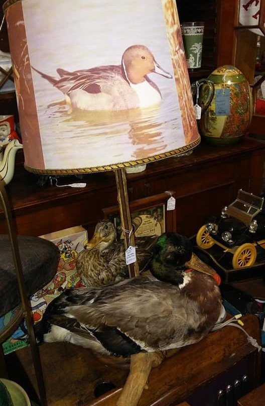Broken Arrow Antiques景点图片
