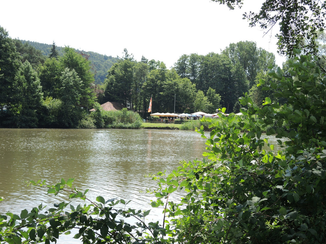Kurpark Bad König-Bad Konig必去景点