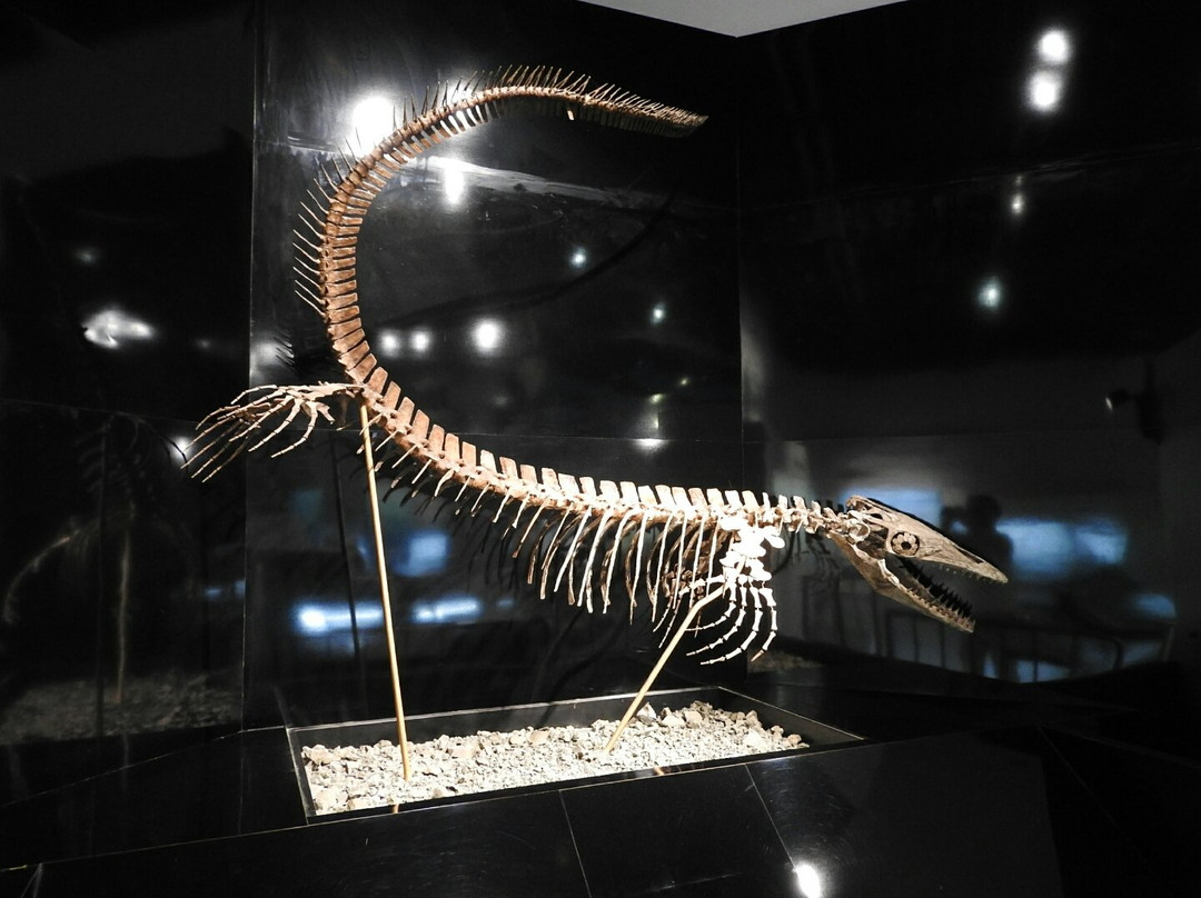 三笠市旅游景点-Mikasa City Museum