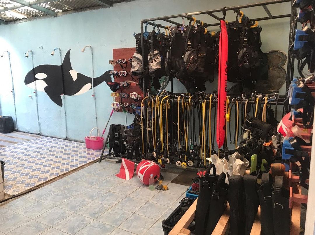 Royal Dive Center-长滩岛必去景点