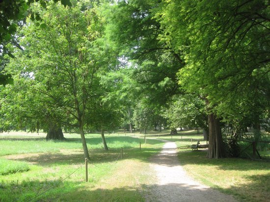 Parco Cavour景点图片