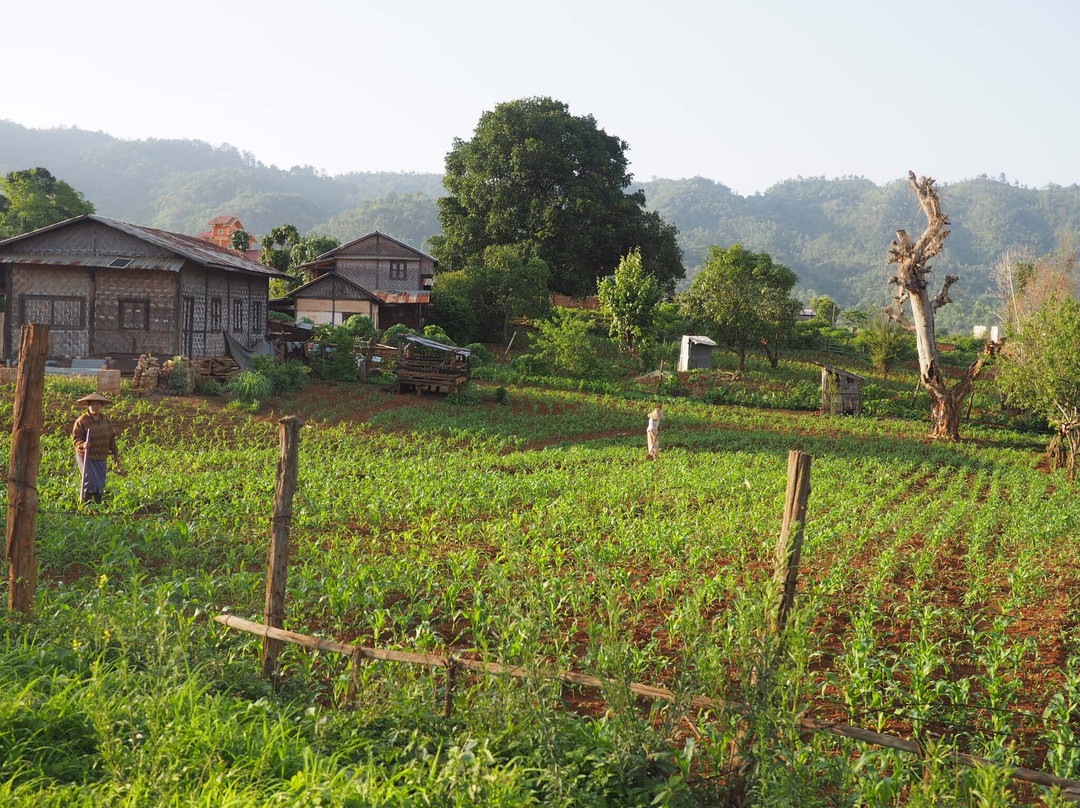 New Force Hsipaw Trekking-西保必去景点