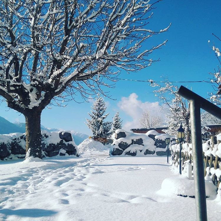 Rietz酒店住宿-Aktiv-Hotel Traube