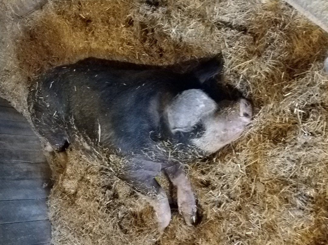 Carriage Hill MetroPark-代顿必去景点