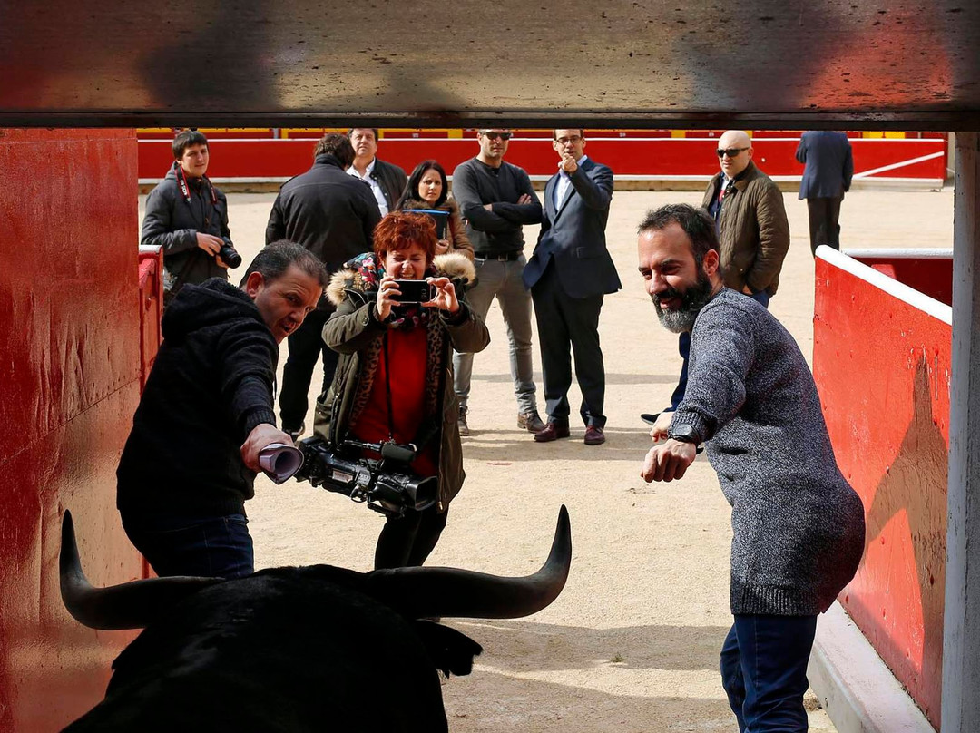 Plaza de Toros de Pamplona-潘普洛纳必去景点