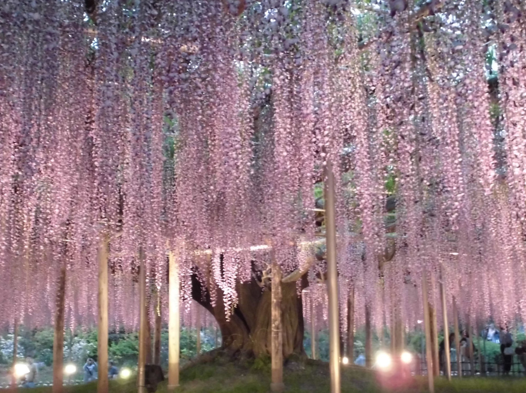 Hotel Select Inn Sano Ekimae主图