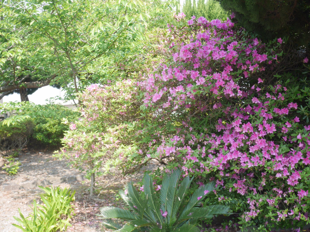 Ryu Shrine-白石町必去景点
