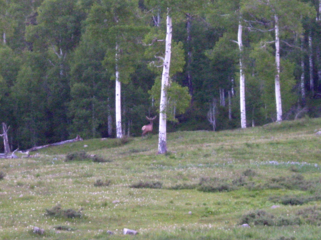 Fishtail Ranch-Chama必去景点