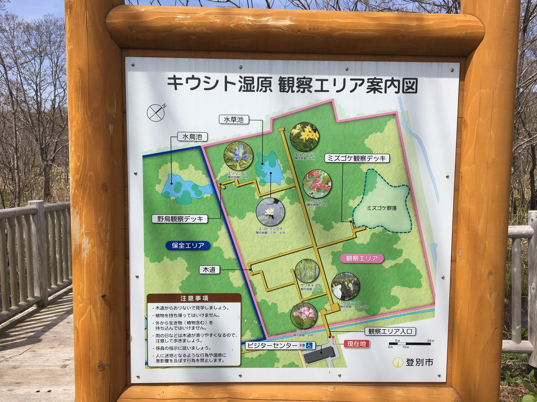 Kiushito Wetland-登别市必去景点