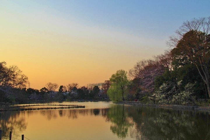 Zempukuji Park-杉并区必去景点