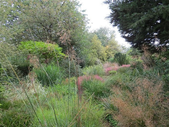 Moors Meadow Gardens景点图片