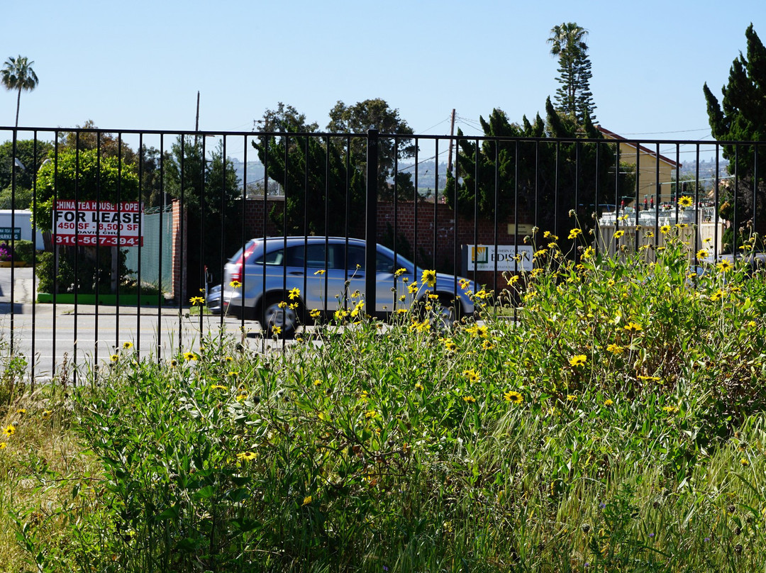 Madrona Marsh-托伦斯必去景点