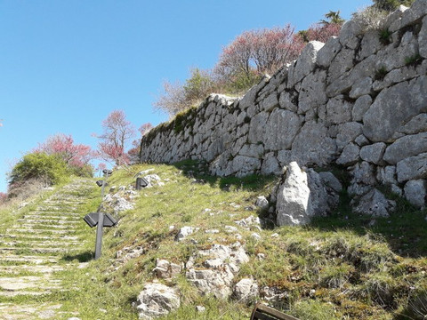Montelanico旅游景点-Porta Saracena