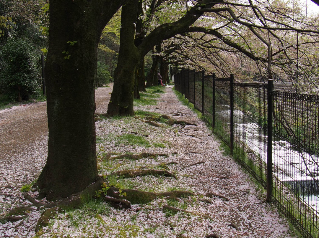 Oi Benten forest-富士见野市必去景点