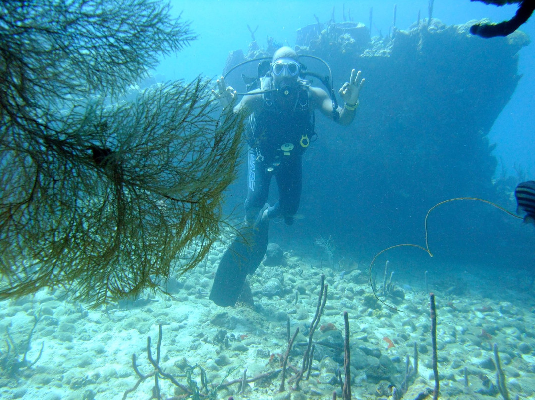 Island Dive Operations-Portsmouth必去景点