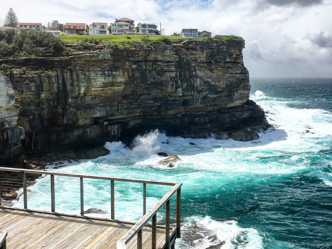 Neutral Bay Tour Co景点图片