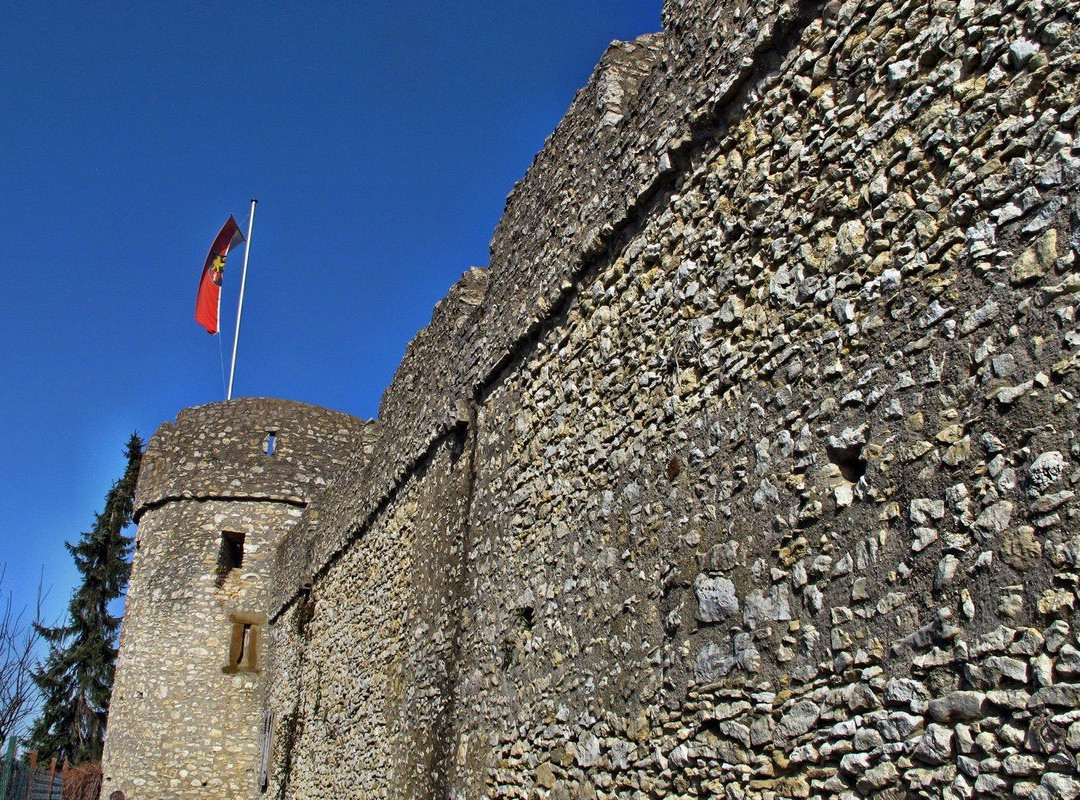 Fleckenmauer Floersheim-Dalsheim-Floersheim-Dalsheim必去景点